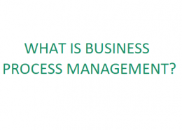 WHAT IS BUSINESS PROCESS MANAGEMENT